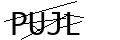 驗證碼