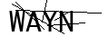 驗(yàn)證碼