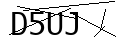 驗證碼
